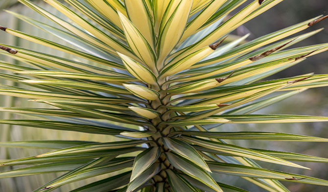 لورم ایپسوم متن ساختگی با تولید سادگی نامفهوم از صنعت چاپ